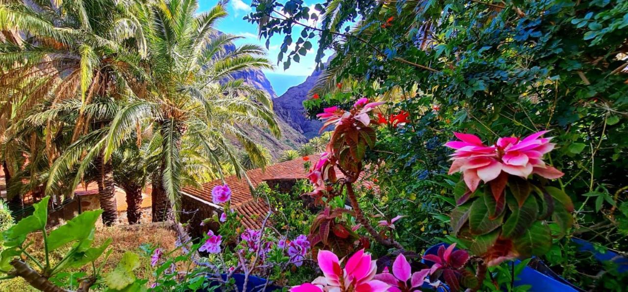 Ocean View Tenerife San Miguel de Abona Esterno foto